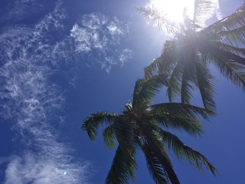 ハワイから影が消える日「ラハイナ・ヌーン」で不思議体験【読者体験記】