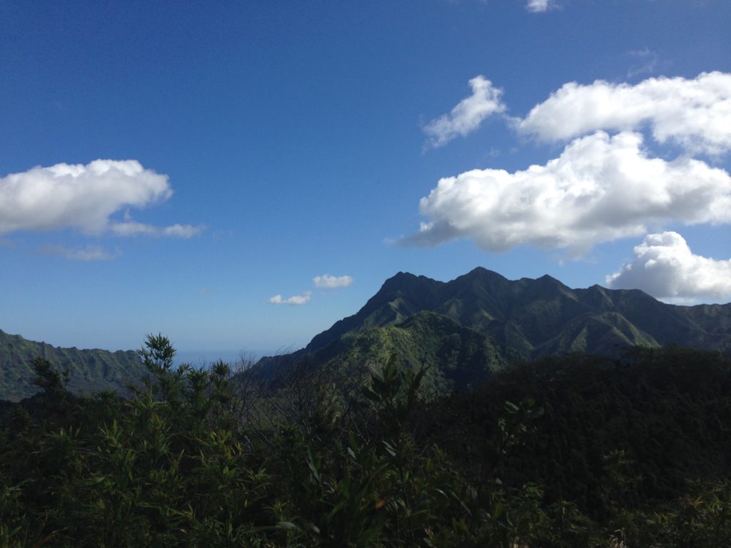 ハワイでジャングルハイキングツアーに参加！【読者体験談】